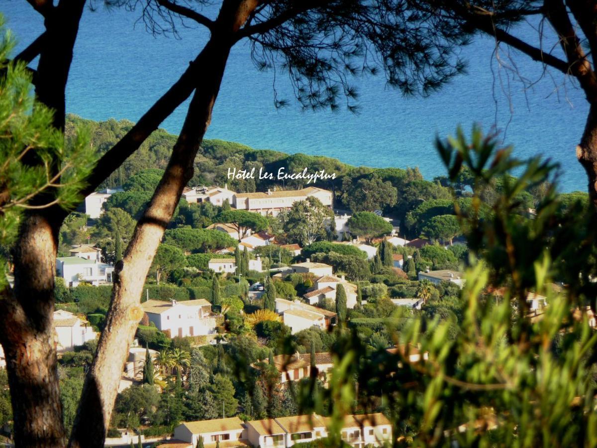 Les Eucalyptus Cavalaire-sur-Mer